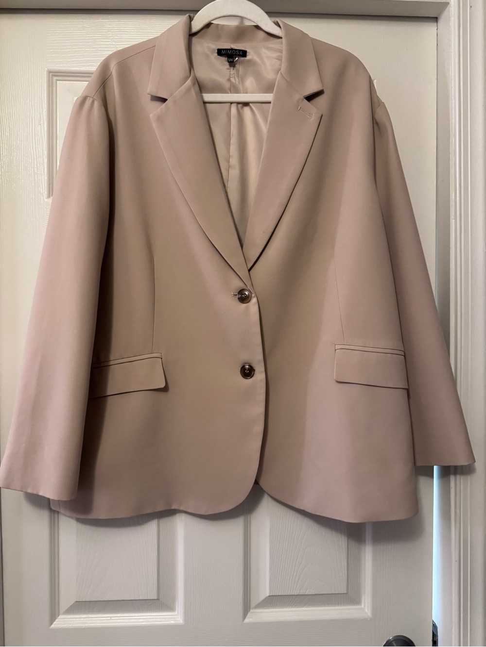 Mimosa Classic Single-Breasted Blazer in Dusty Pink